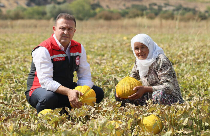 Muğla’nın Yayla Kavunu Sevenleriyle Buluşuyor