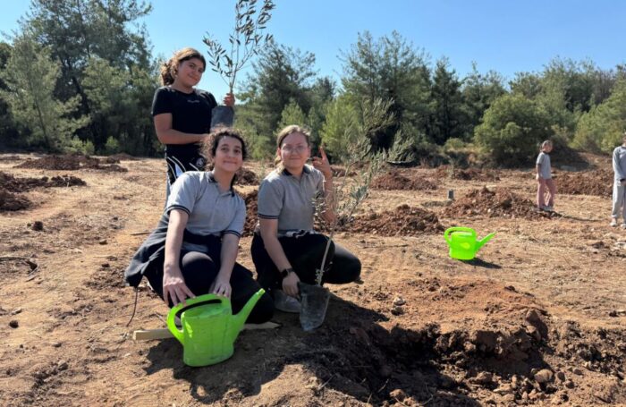 300 Zeytin fidanı gelecek için toprakla buluştu