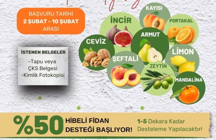 Üreticilere fidan desteği