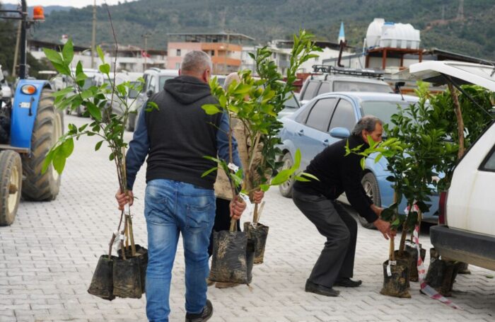 Üreticiye Yüzde 50 Hibeli Meyve Fidanı Desteği