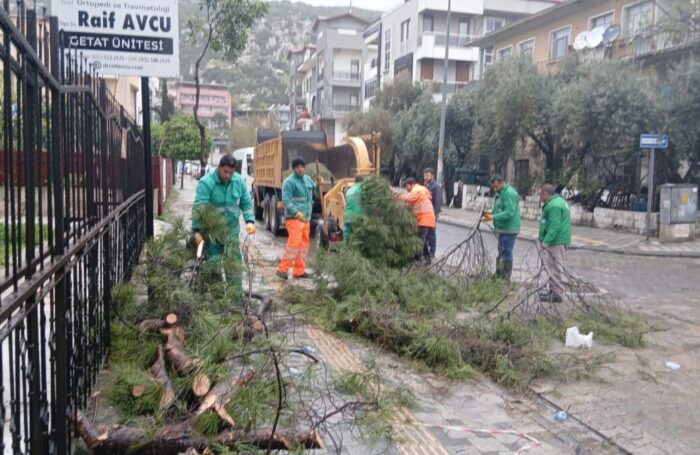 Şiddetli Fırtına Nedeniyle Yaşanan Olumsuz Durumlara Milas Belediyesi’nden Anında Müdahale