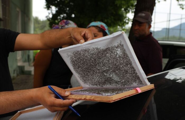 Muğla’da İpekböceği Dağıtım Töreni Gerçekleştirildi