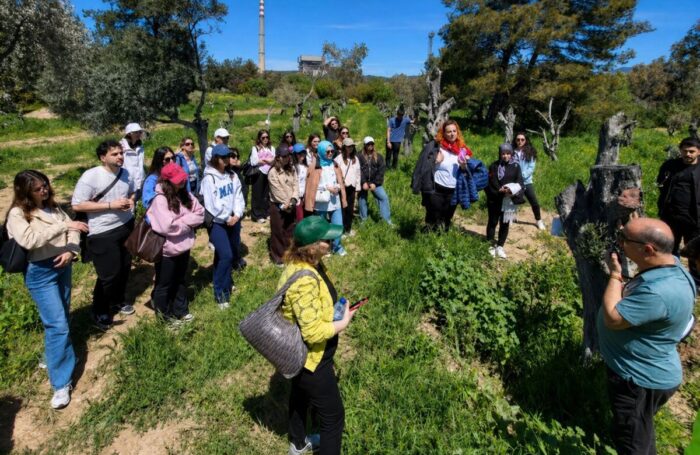Ziraat Fakültesi Öğrencileri Taşınan Zeytinleri Yerinde Gördü