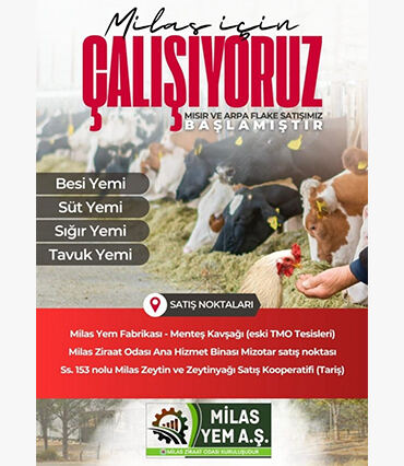 Milas’ta Hayat Boyu Öğrenme Haftası Coşkuyla Başladı